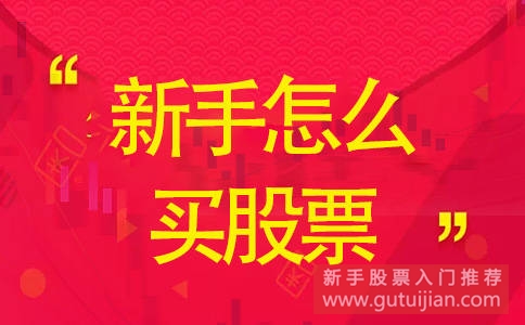 新手怎么玩股票